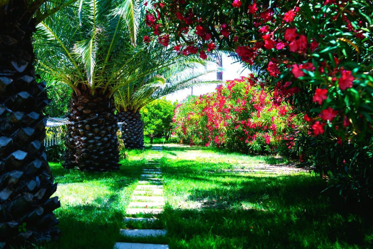 Ancient Meropia - Les Jardins Des Muses Apollonía Zewnętrze zdjęcie